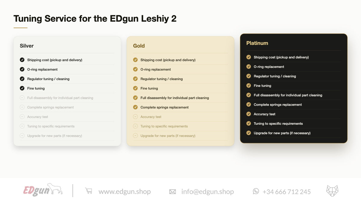 EDgun · Tuning Service for Leshiy 2