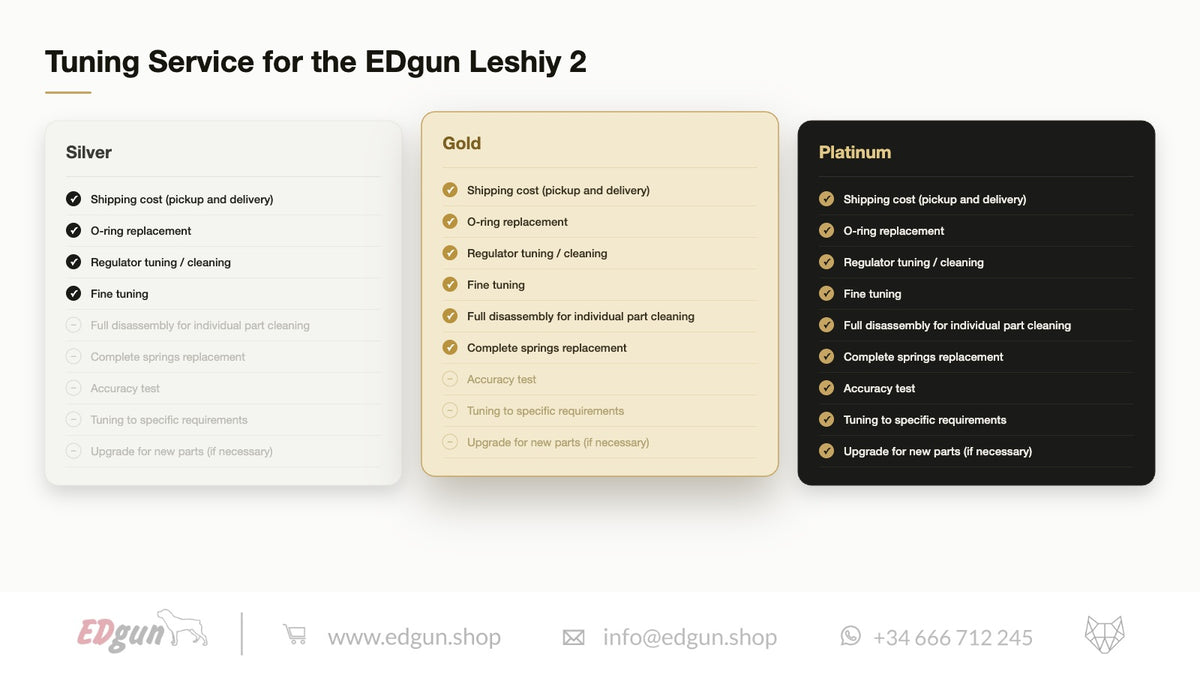 EDgun · Tuning Service for Leshiy 2